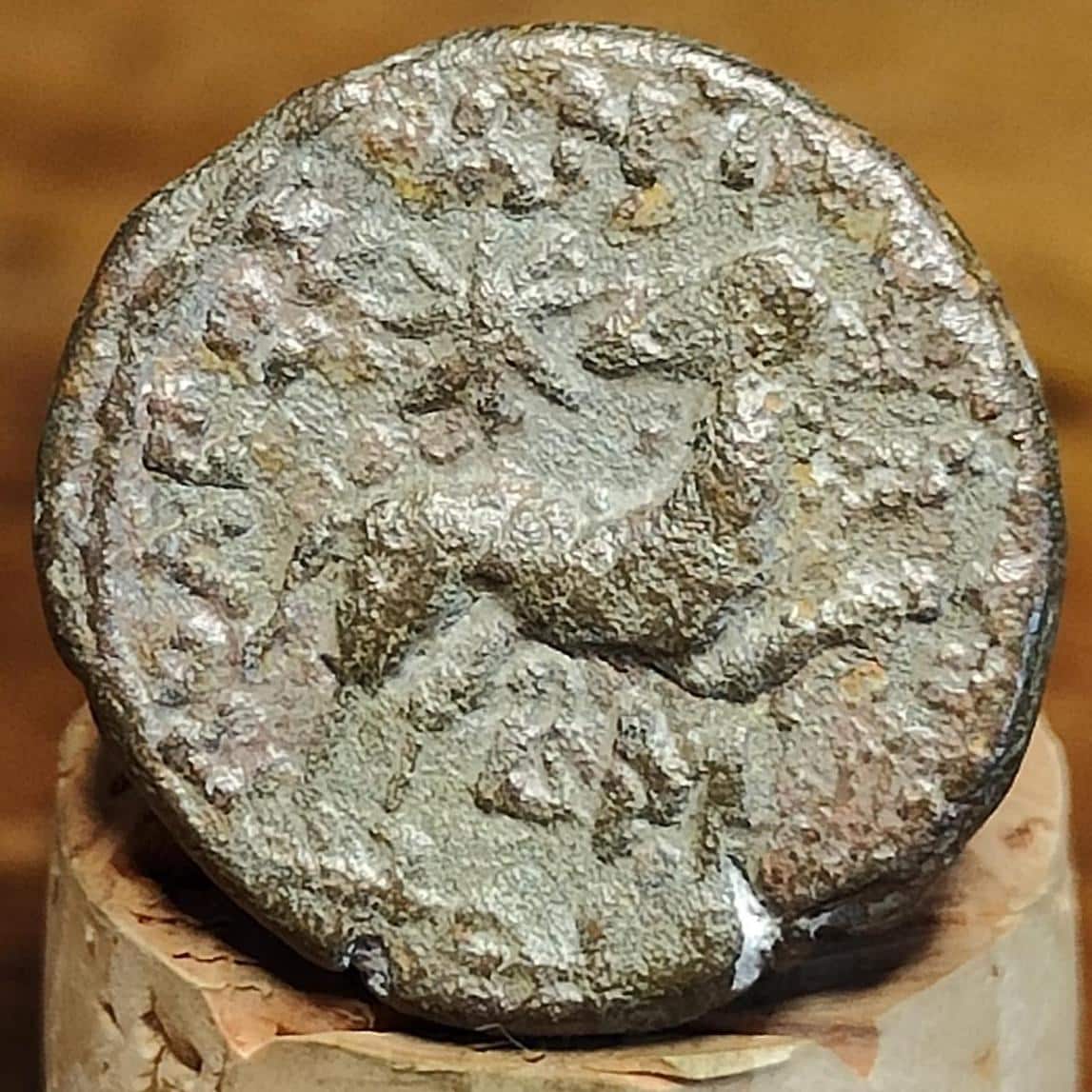 Ancient Greek Coin, Zeus and Ram, 27BC - 14AD, Antioch, Ancient Semis - VPUKcoins