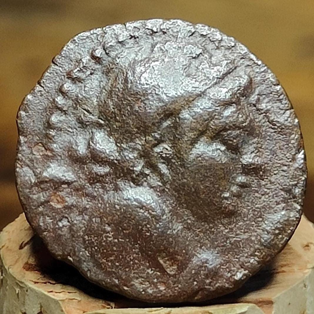 Antiochus VII Euergetes, Seleucid Kingdom, Ancient Greek coin 138 - 129 BC - VPUKcoins