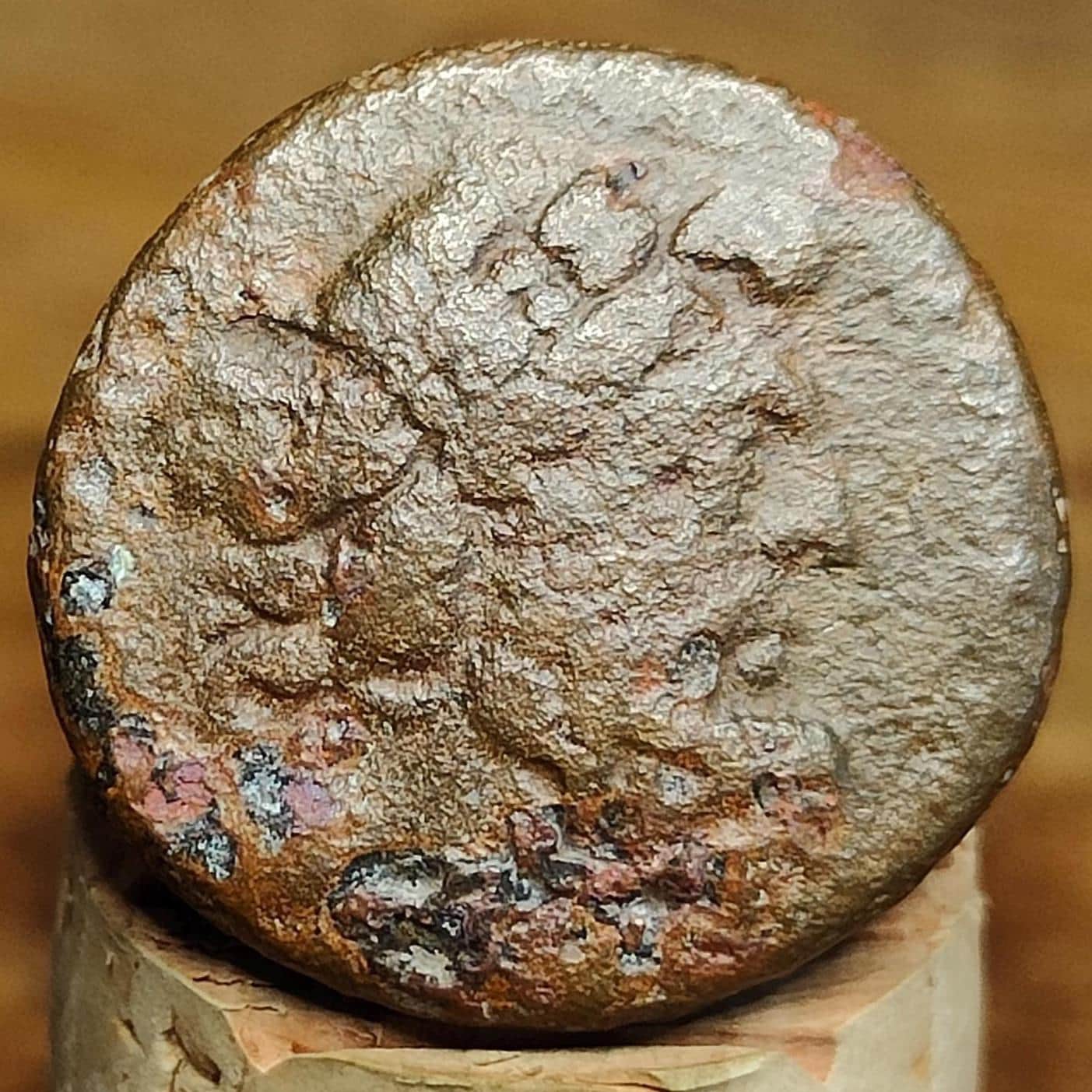 Apameia, Zeus and Elephant, Seleucid Kingdom, Ancient Greek coin 1st century BC - VPUKcoins