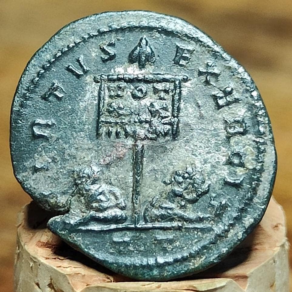 Crispus Roman coin with captives reverse, AE3 ancient Nummus - VPUKcoins