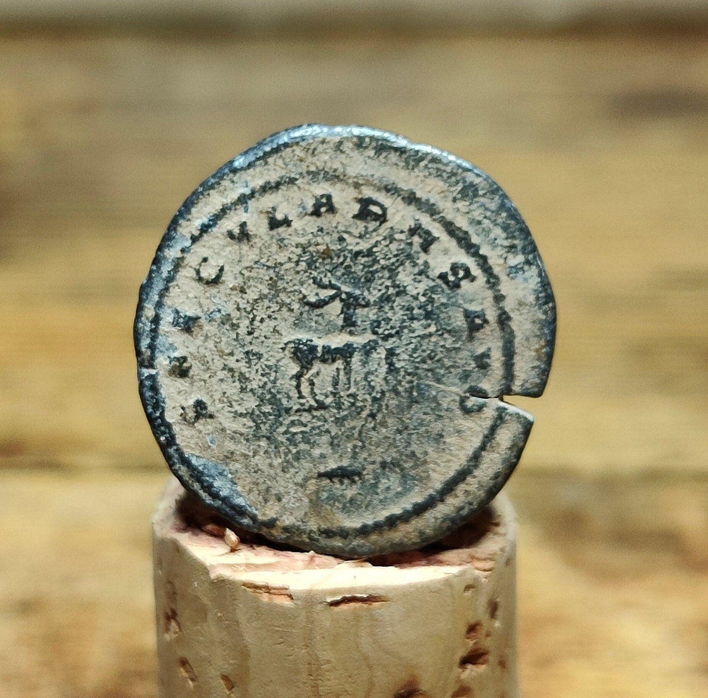Gallienus Roman Antoninianus, Desert patina ancient double denarius coin - VPUKcoins