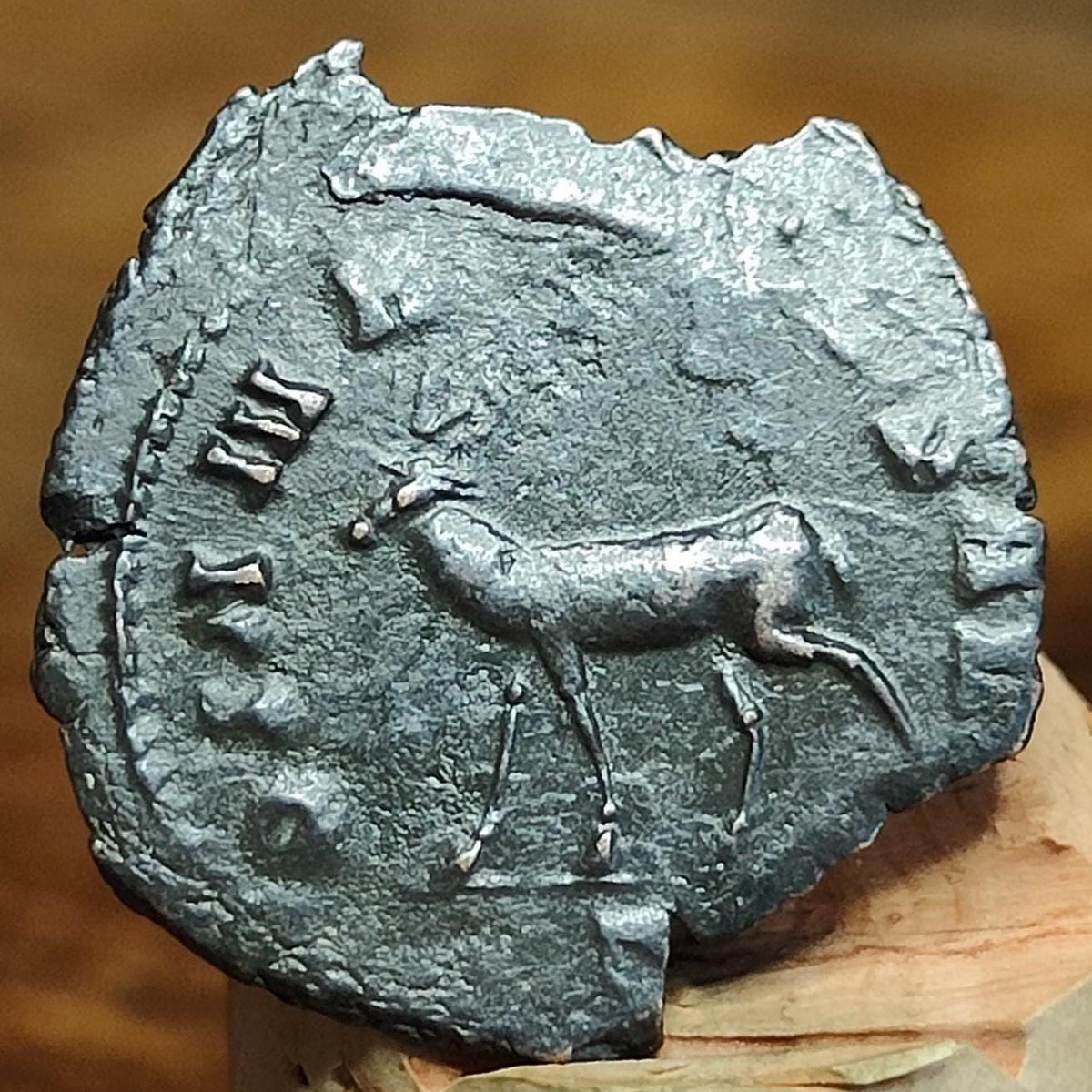 Gallienus Zoo series Antoninianus , Doe reverse, 253-268AD, 3rd century ancient Roman coin - VPUKcoins