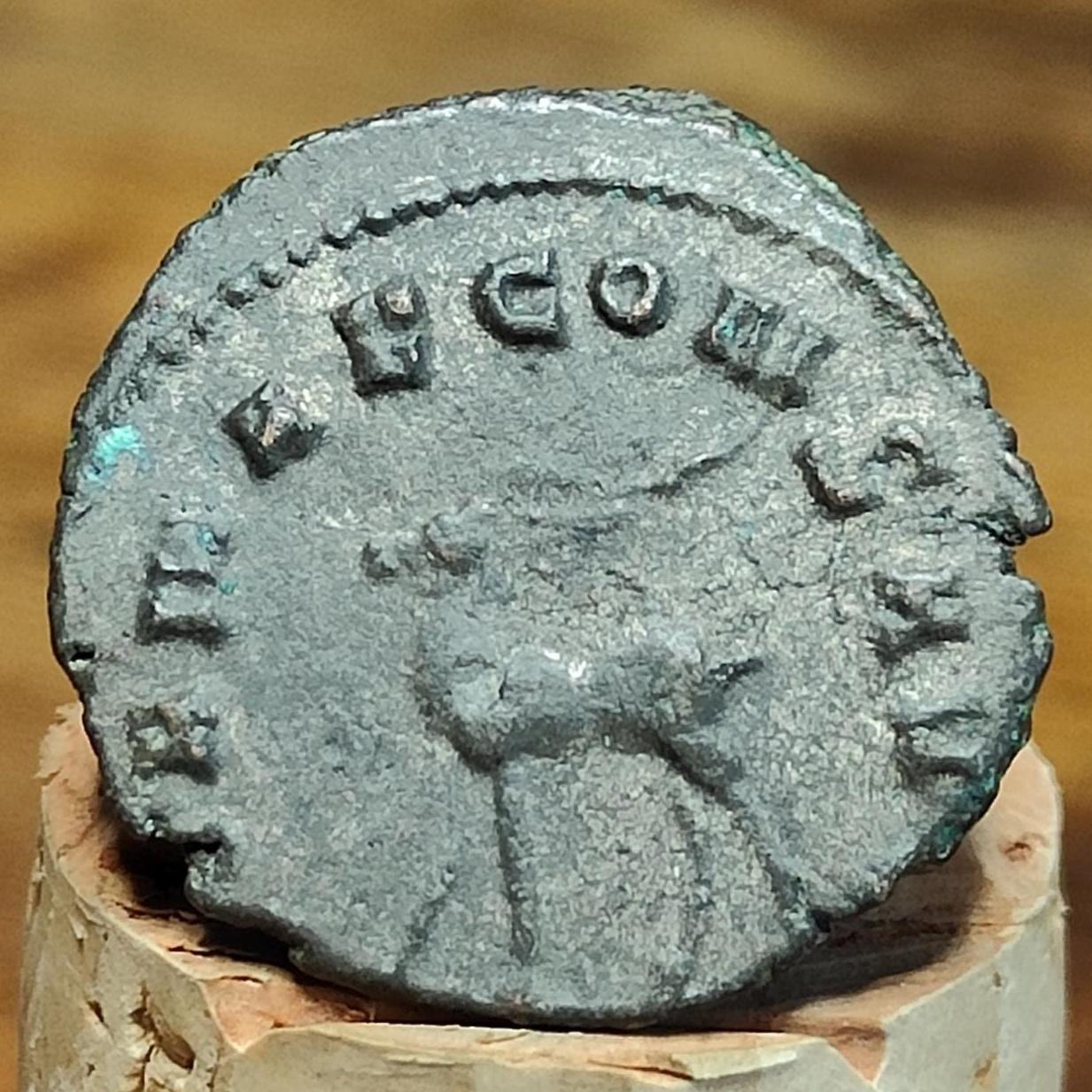 Gallienus Zoo series Roman coin AE3, 3rd century ancient Antoninianus - VPUKcoins