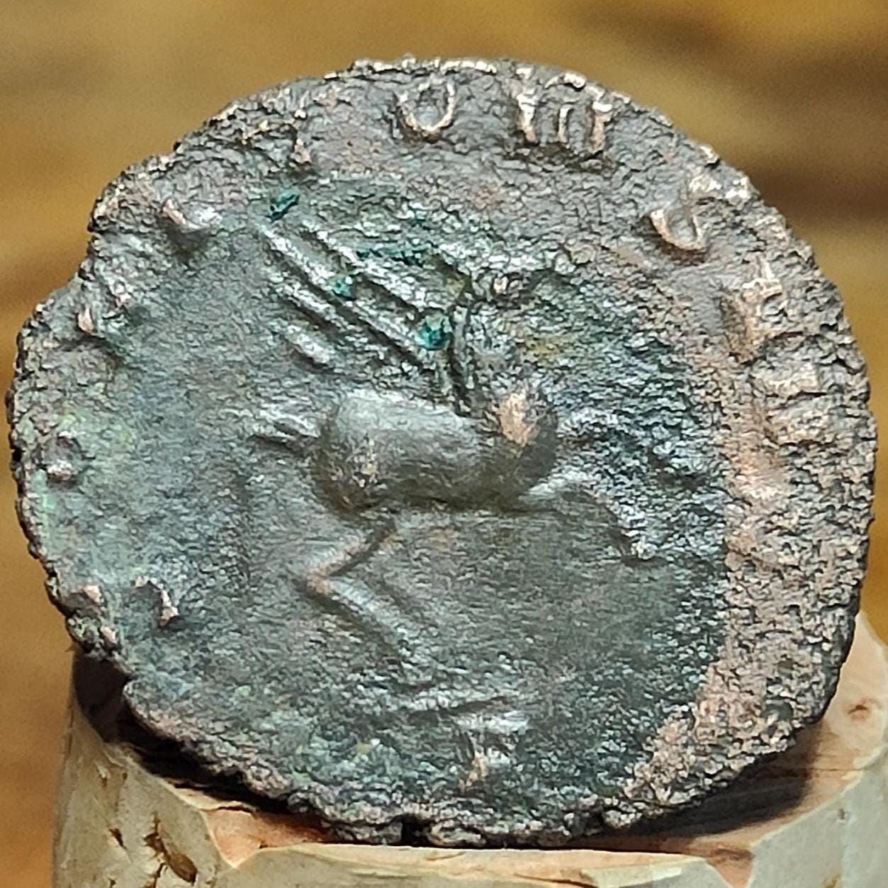 Gallienus Zoo series Roman coin AE3, 3rd century ancient Antoninianus - VPUKcoins