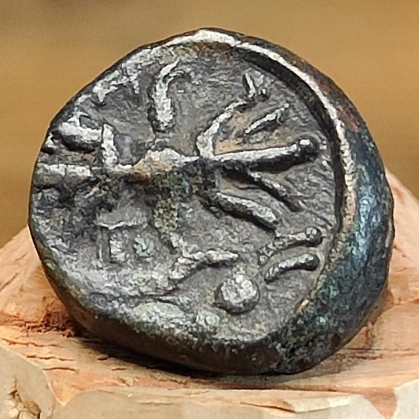 Herakles and thunderbolt, Selge Pisidia, Ancient Greek coin 1st century BC - VPUKcoins