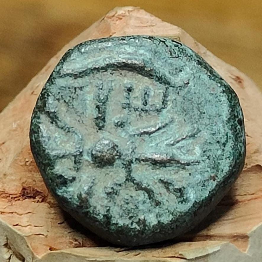 Herakles and thunderbolt, Selge Pisidia, Ancient Greek coin 1st century BC - VPUKcoins