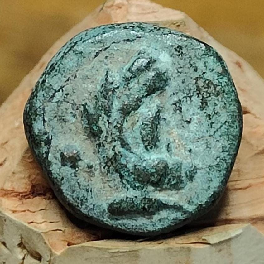 Herakles and thunderbolt, Selge Pisidia, Ancient Greek coin 1st century BC - VPUKcoins
