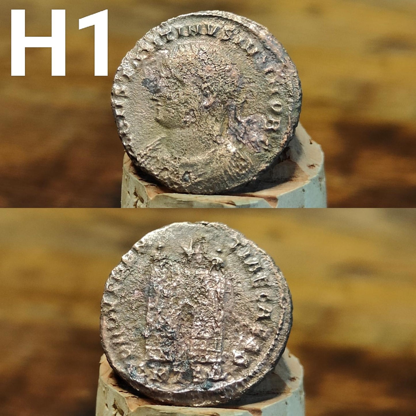 Cleaned Roman coins, ancient Nummus and Follis