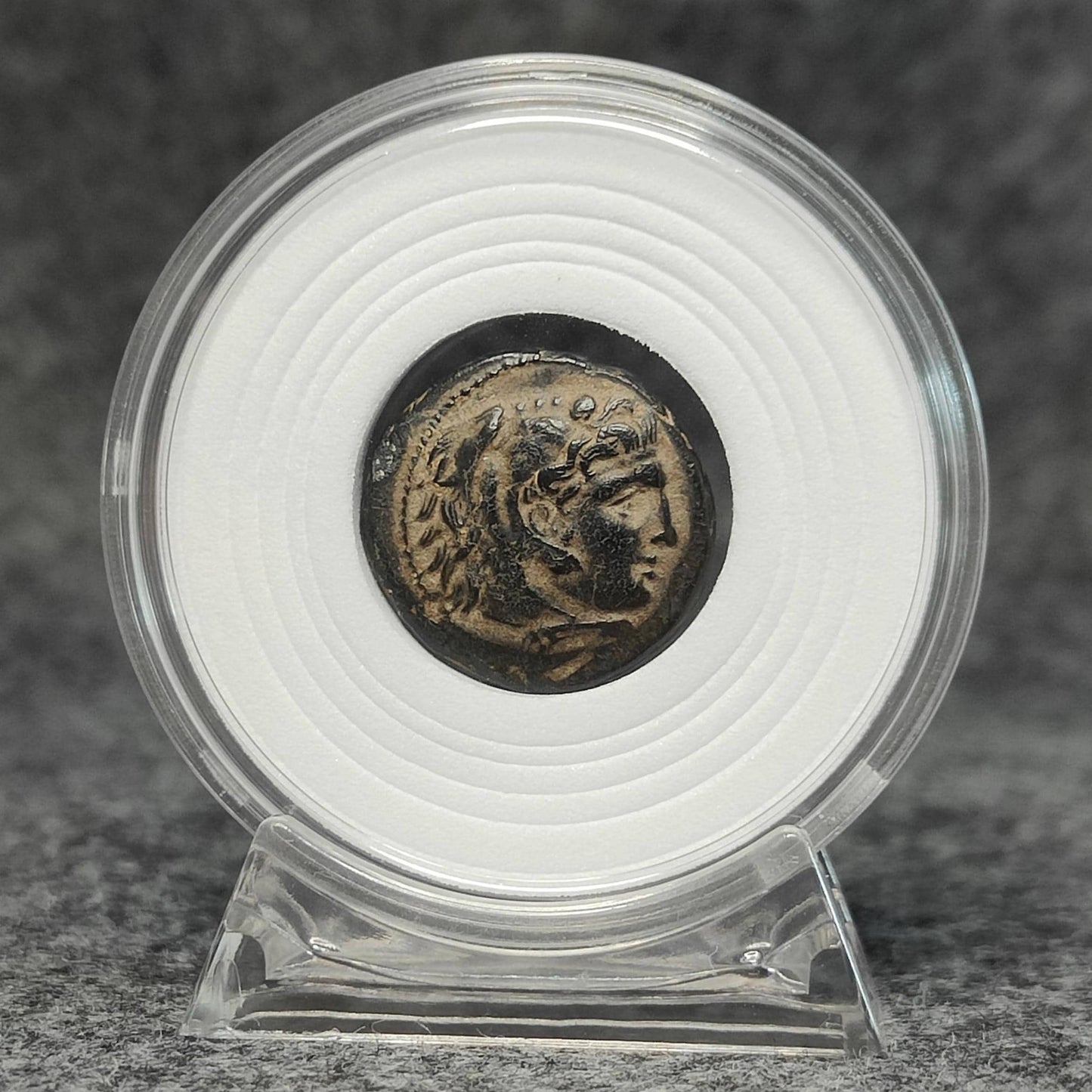 Coin Capsule Display case with stand and foam gasket
