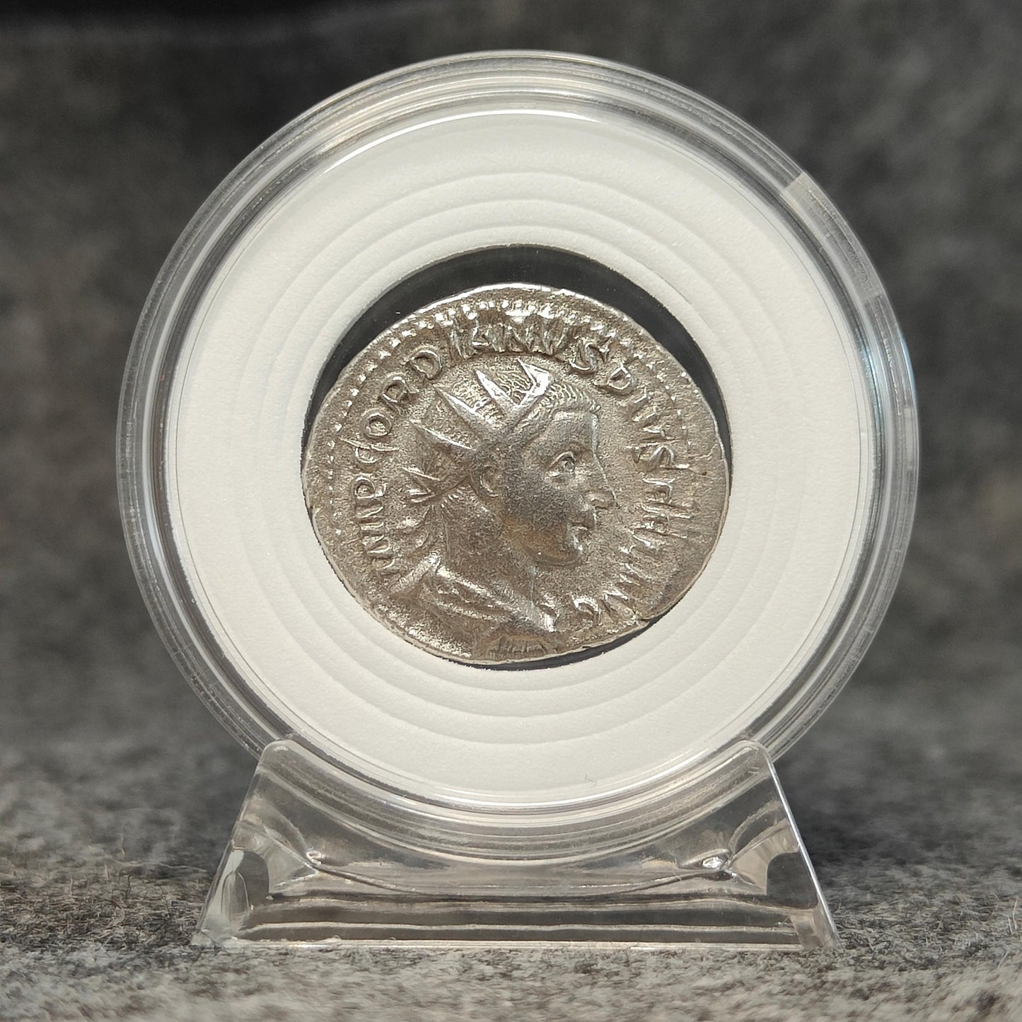 Coin Capsule Display case with stand and foam gasket