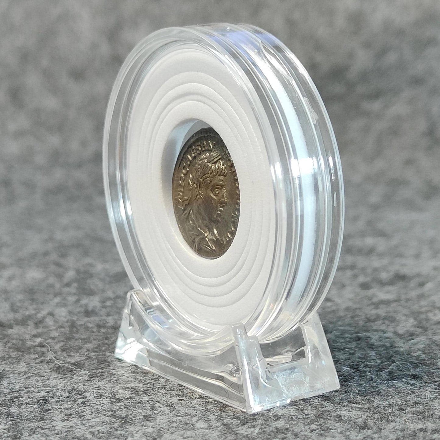 Coin Capsule Display case with stand and foam gasket