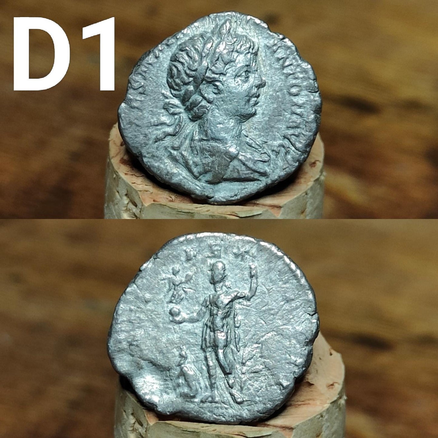Authentic Roman silver Denarii featuring emperor of Rome, 1800 years old!