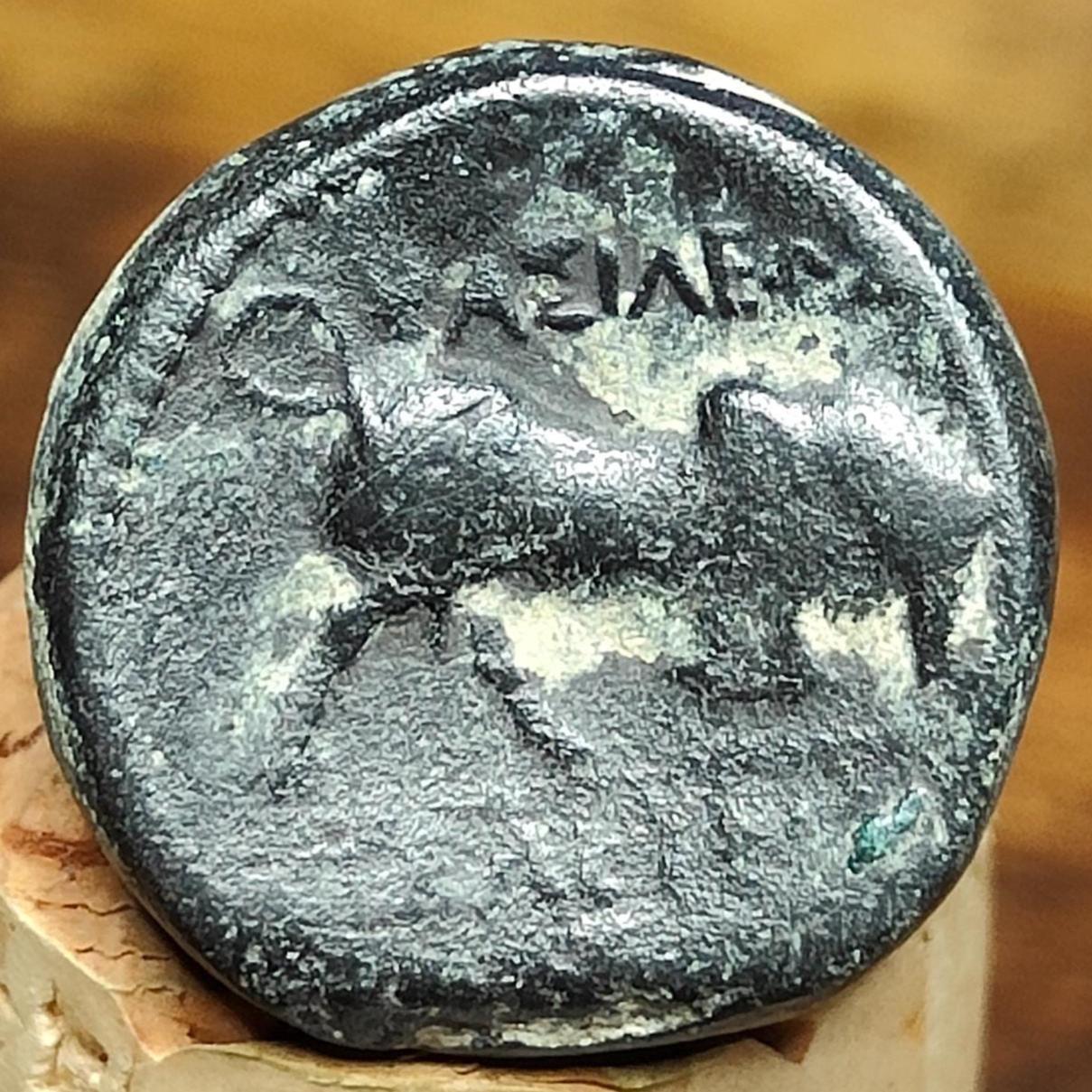 Kings of Syria, Seleucus I, Ancient Greek coin, 312-280 BC