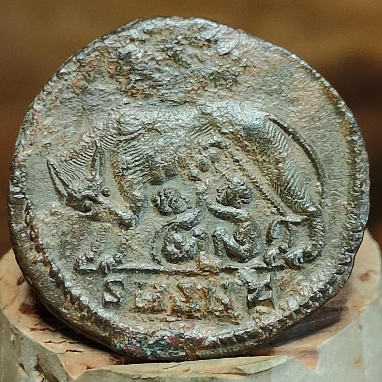 Roman commemorative coin with She Wolf reverse, ancient Nummus