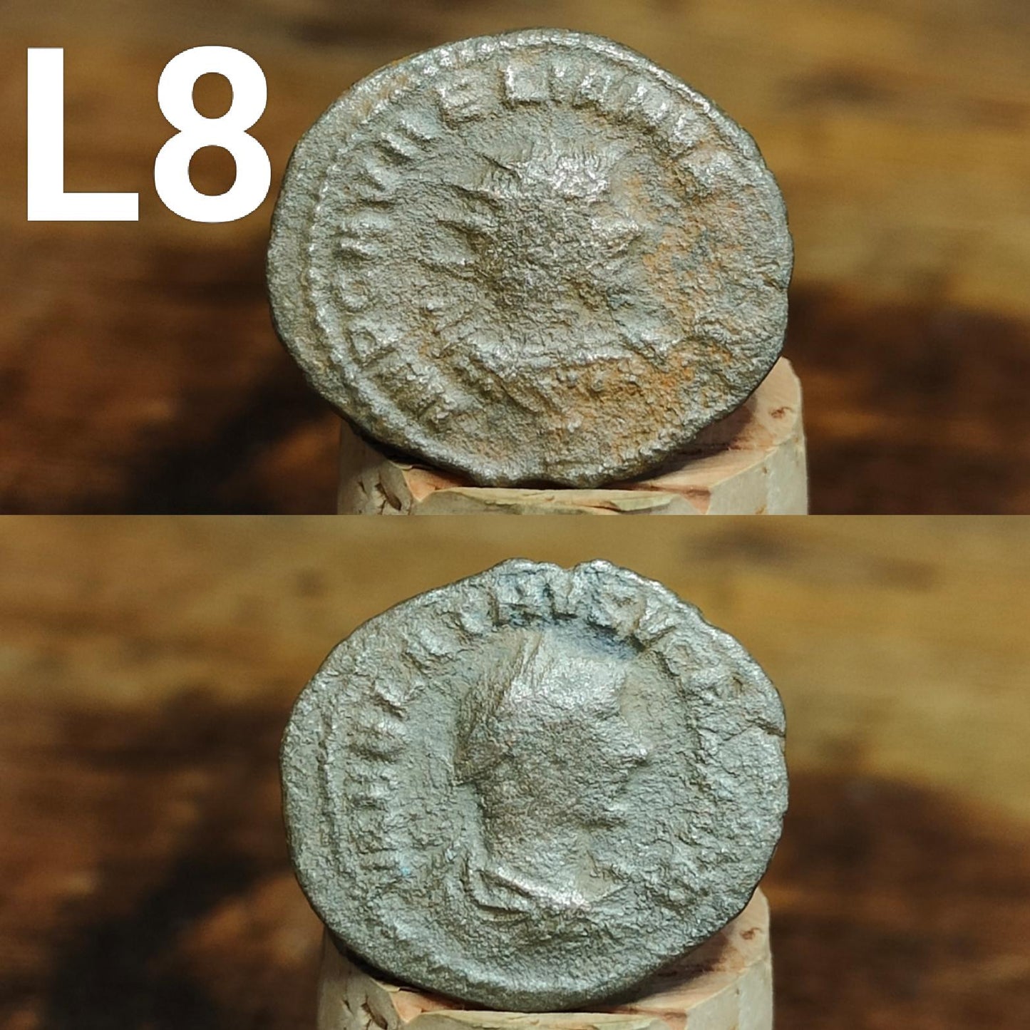 Cleaned Roman coins, ancient Nummus and Follis