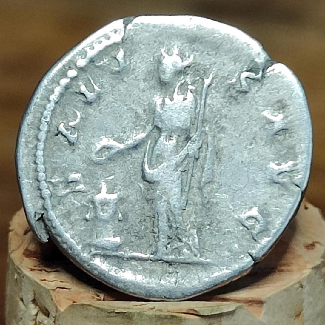 Hadrian Silver Denarius with Salus reverse, Ancient roman coin