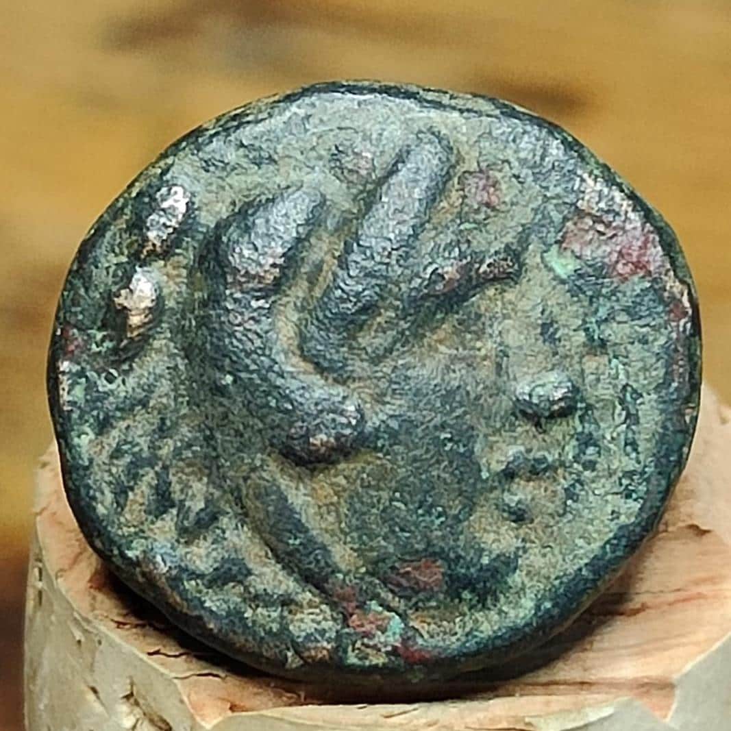 Kingdom of Macedon, Antigonos II Gonatas, Ancient Greek coin 277 - 239 BC. - VPUKcoins