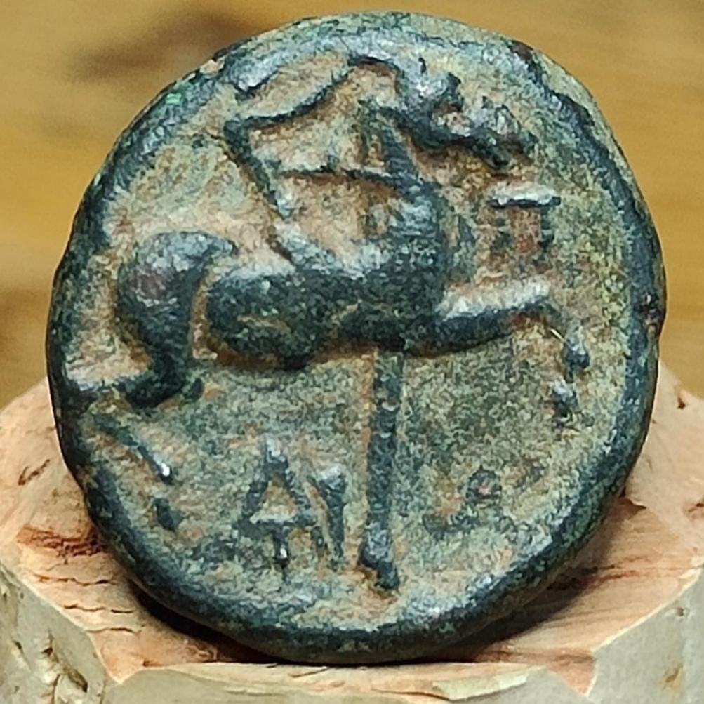 Kingdom of Macedon, Antigonos II Gonatas, Ancient Greek coin 277 - 239 BC. - VPUKcoins