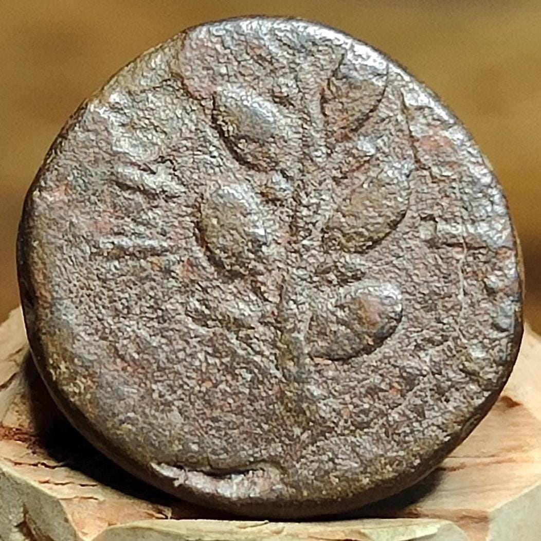 Seleucis and Pieria, Artemis / Laurel branch, Ancient Greek coin 65 - 66 AD - VPUKcoins