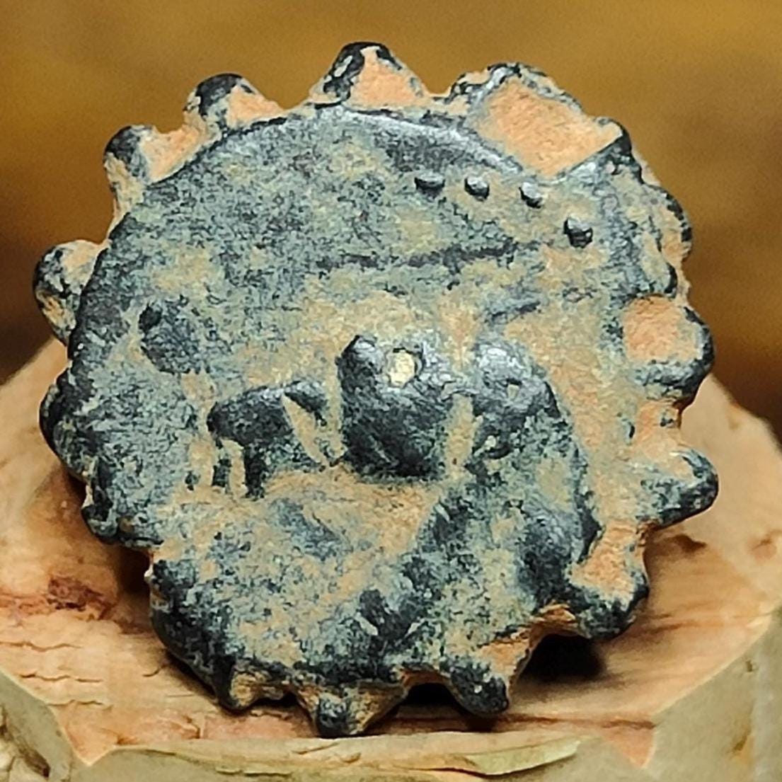 Seleukid Kingdom, Demetrios I, Ancient Greek coin, 162 - 150 BC - VPUKcoins