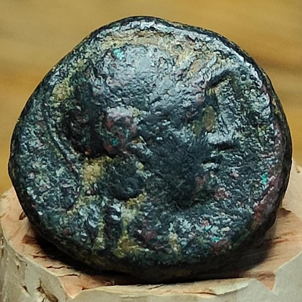 Seleukid Kingdom, Seleukos II Kallinikos, Ancient Greek coin, 246 - 225 BC - VPUKcoins