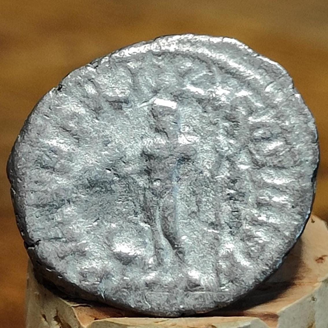 Septimius Severus with Liber reverse Silver Denarius, Ancient roman coin - VPUKcoins