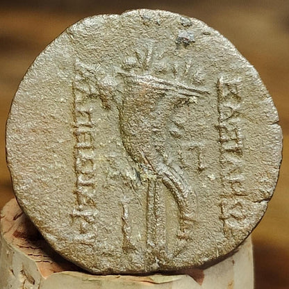 Alexander II Zabinas, Seleukid Kingdom, Cornucopia reverse, 128 - 122 BC - VPUKcoins