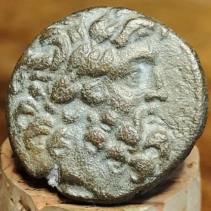 Ancient Greek Coin, Zeus and Ram, 27BC - 14AD, Antioch, Ancient Semis - VPUKcoins