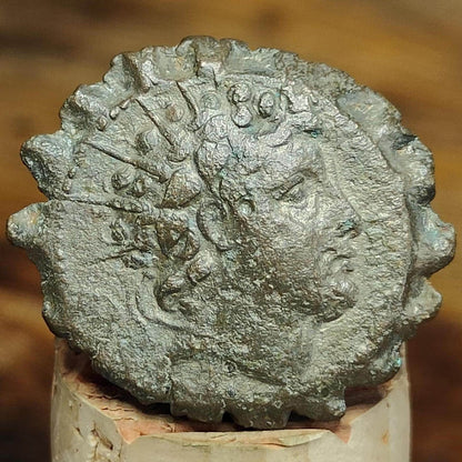 Antiochus VI Dionysus, Seleucid Kingdom, Elephant reverse Ancient Greek coin 144 - 142 BC - VPUKcoins