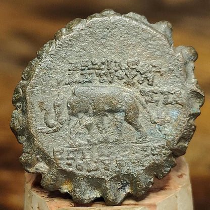 Antiochus VI Dionysus, Seleucid Kingdom, Elephant reverse Ancient Greek coin 144 - 142 BC - VPUKcoins