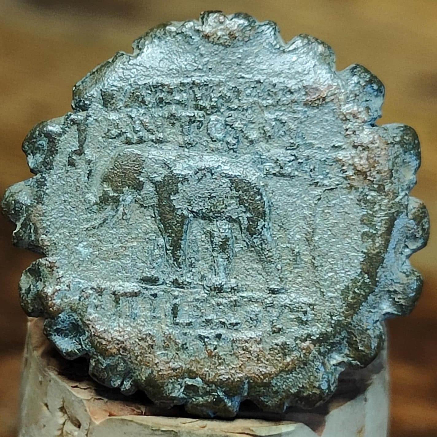 Antiochus VI Dionysus, Seleucid Kingdom, Elephant reverse Ancient Greek coin 144 - 142 BC - VPUKcoins