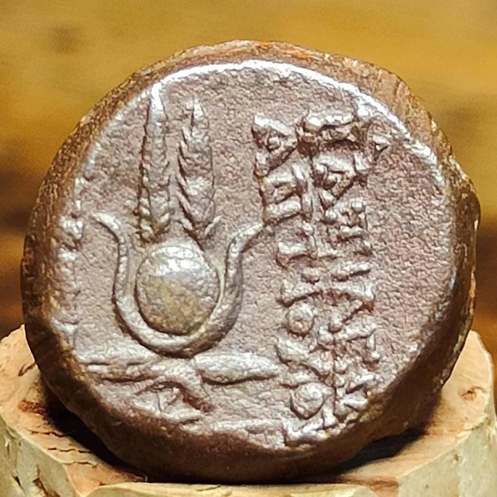 Antiochus VII Euergetes, Seleucid Kingdom, Ancient Greek coin 138 - 129 BC - VPUKcoins