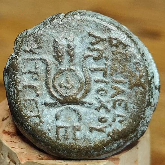 Antiochus VII Euergetes, Seleucid Kingdom, Ancient Greek coin 138 - 129 BC - VPUKcoins