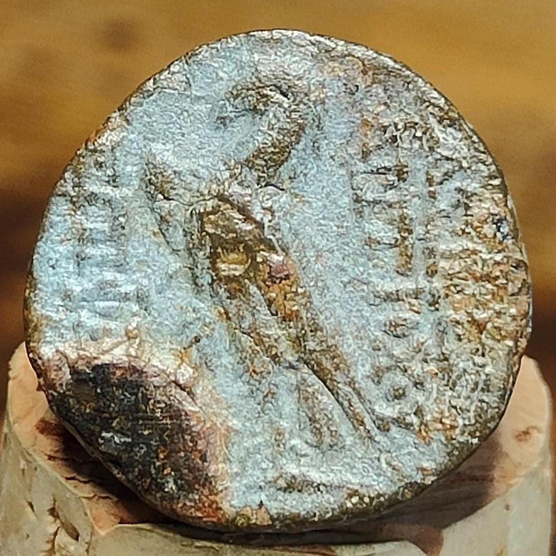 Antiochus VIII Epiphanes, Seleucid Kingdom, Ancient Greek coin 121 - 97 BC - VPUKcoins