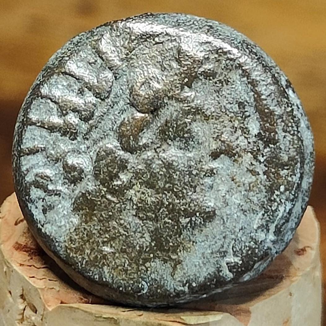 Antiochus VIII Epiphanes, Seleucid Kingdom, Ancient Greek coin 121-97 BC - VPUKcoins