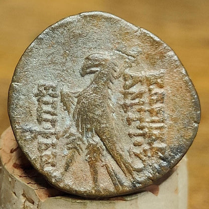 Antiochus VIII Epiphanes, Seleucid Kingdom, Ancient Greek coin 121 - 97 BC - VPUKcoins