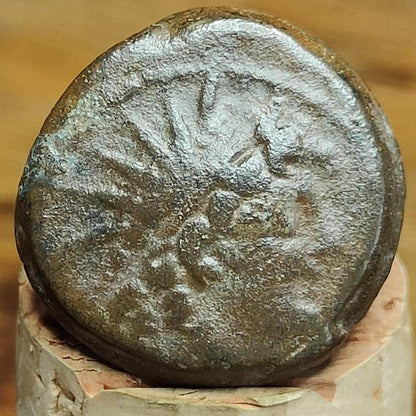 Antiochus VIII Epiphanes, Seleucid Kingdom, Ancient Greek coin 121 - 97 BC - VPUKcoins