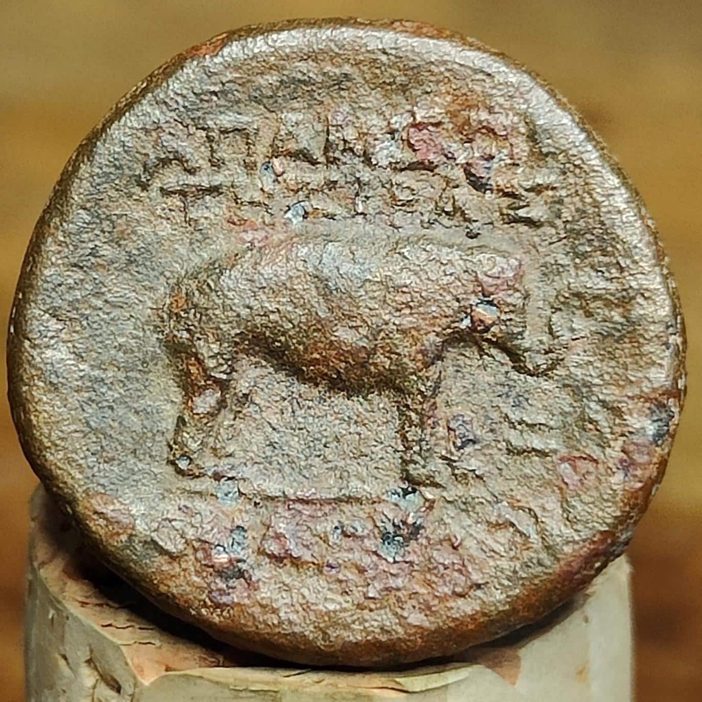 Apameia, Zeus and Elephant, Seleucid Kingdom, Ancient Greek coin 1st century BC - VPUKcoins