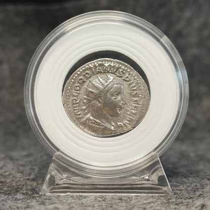 Coin Capsule Display case with stand and foam gasket - VPUKcoins