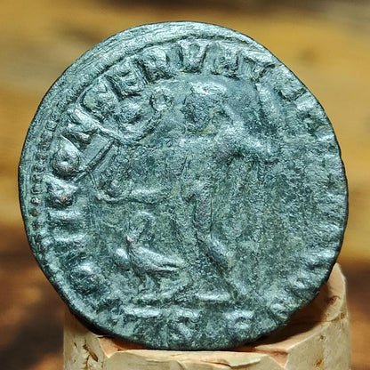 Constantine the great Roman coin, high grade ancient Nummus with Jupiter reverse - VPUKcoins