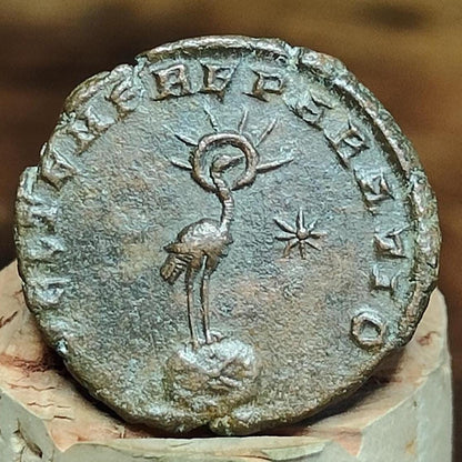 Constantius II Roman coin with Phoenix reverse, 337-361AD ancient Nummus - VPUKcoins