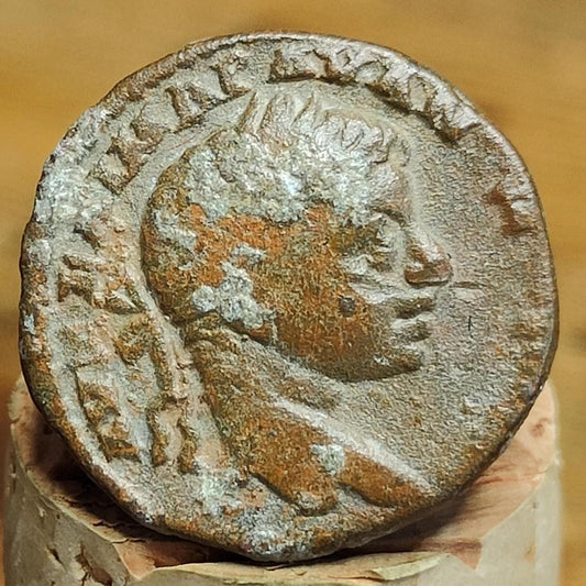 Elagabalus provincial issue Roman Coin, 218 - 222 AD, Antioch - VPUKcoins