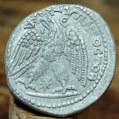 Elagabalus Roman Provincial Tetradrachm - Seleucis and Pieria, Antioch, 219AD - VPUKcoins