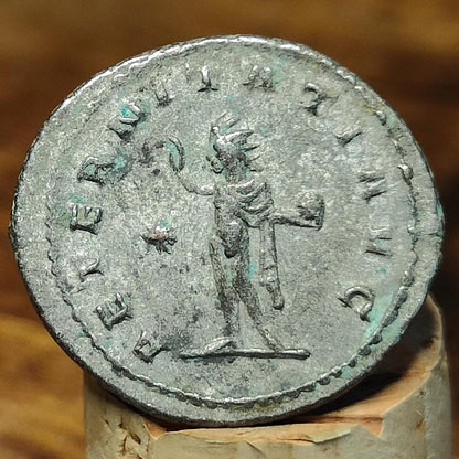 Emperor Gallienus Roman coin, 3rd century ancient Antoninianus, Sol reverse - VPUKcoins