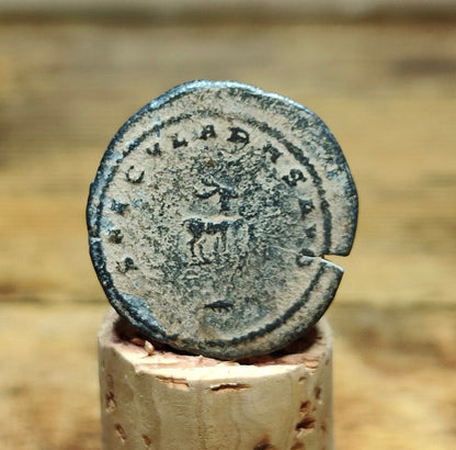 Gallienus Roman Antoninianus, Desert patina ancient double denarius coin - VPUKcoins