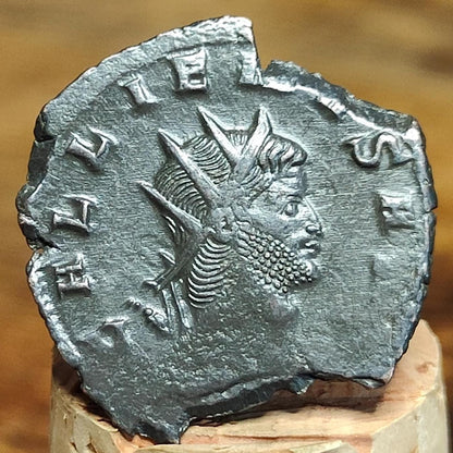 Gallienus Zoo series Antoninianus , Doe reverse, 253-268AD, 3rd century ancient Roman coin - VPUKcoins