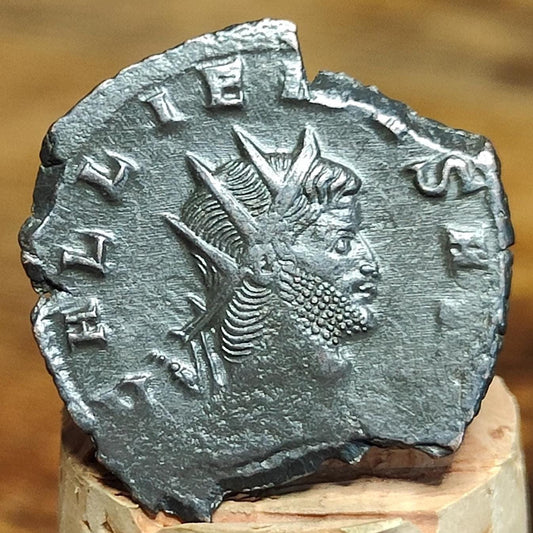 Gallienus Zoo series Antoninianus , Doe reverse, 253-268AD, 3rd century ancient Roman coin - VPUKcoins