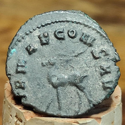 Gallienus Zoo series Roman coin AE3, 3rd century ancient Antoninianus - VPUKcoins