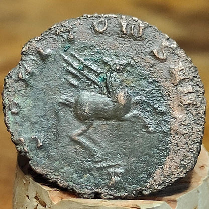 Gallienus Zoo series Roman coin AE3, 3rd century ancient Antoninianus - VPUKcoins
