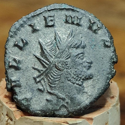 Gallienus Zoo series Roman coin AE3, 3rd century ancient Antoninianus - VPUKcoins
